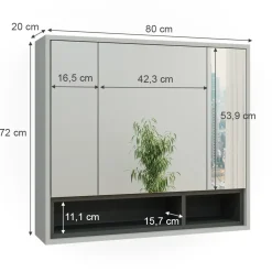 Badspiegelschrank Beatrice Grau/Anthrazit 80 x 72 cm Vicco