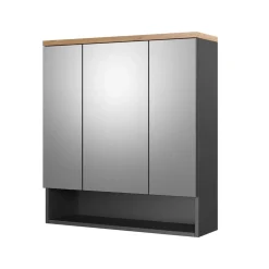 Badspiegelschrank Eden Anthrazit 70 x 77.5 cm Vicco