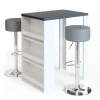 Bartisch-Set Anthrazit/Weiß 57 x 80 cm mit 2 Barhockern Vicco