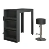 Bartisch-Set Repose Anthrazit 57 x 117 cm mit 2 Barhockern Vicco