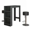 Bartisch-Set Repose Anthrazit 45 x 110 cm mit 2 Barhockern Vicco