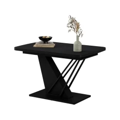 Esstisch Fenaro Schwarz 120 x 80 cm ausziehbar Vicco