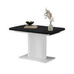 Esstisch Fenaro Schwarz/Weiß 120 x 80 cm ausziehbar Vicco