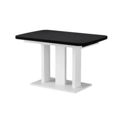 Esstisch Fenaro Schwarz/Weiß 120 x 80 cm 2 Teile Vicco