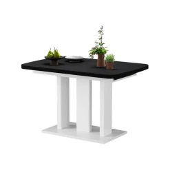 Esstisch Fenaro Schwarz/Weiß 120 x 80 cm 2 Teile Vicco