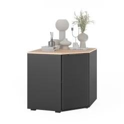 Kommode Betti Anthrazit/Sonoma 77.9 x 77.9 cm mit 1 Türen Vicco