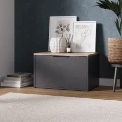 Kommode Betti Anthrazit/Sonoma 60 x 36 cm mit Türen Vicco