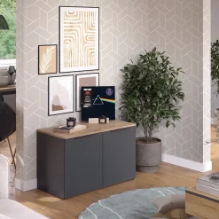 Kommode Wido Anthrazit 80 x 50 cm mit 2 Türen Vicco