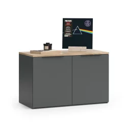 Kommode Wido Anthrazit 80 x 50 cm mit 2 Türen Vicco