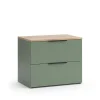 Kommode Wido Grün 60 x 50 cm mit 2 Schubladen Vicco