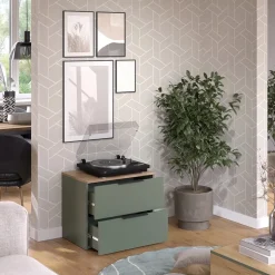 Kommode Wido Grün 60 x 50 cm mit 2 Schubladen Vicco