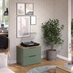 Kommode Wido Grün 60 x 50 cm mit 2 Schubladen Vicco