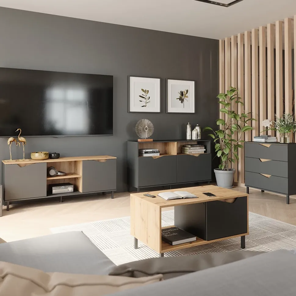 Lowboard Marelle Anthrazit/Artisan 150 x 60 cm mit 2 Türen Vicco