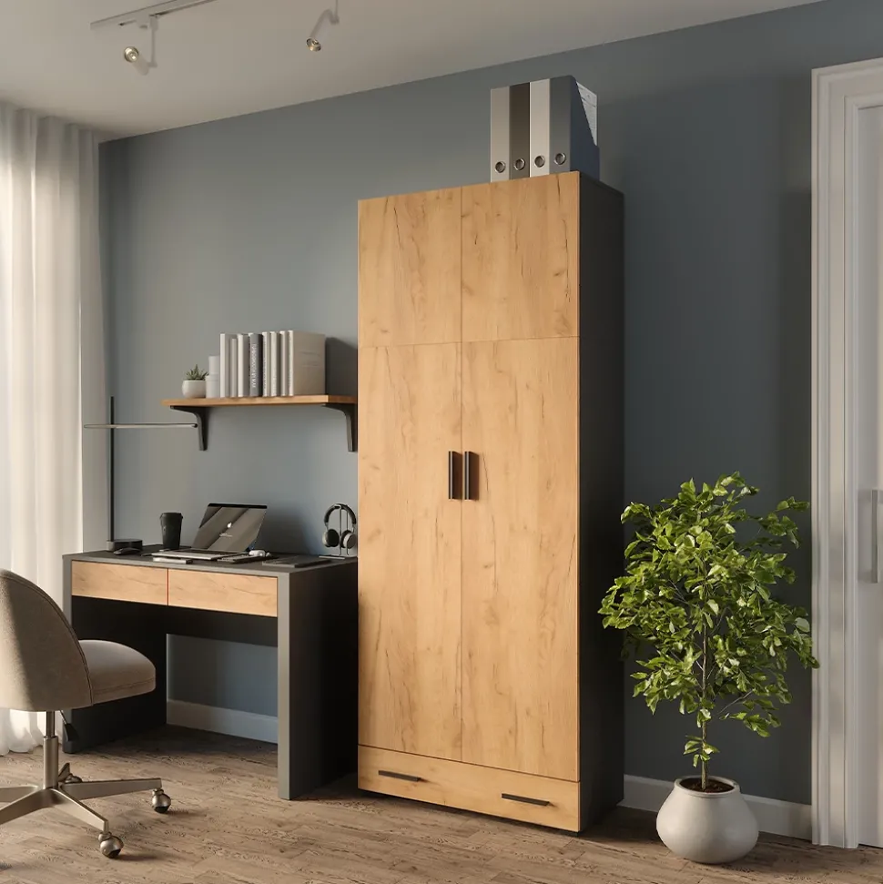 Mehrzweckschrank Frank Anthrazit/Goldkraft Eiche 80 x 201.2 cm mit Schubladenmodul Vicco