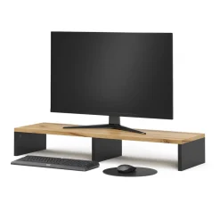 Vicco Monitorständer 